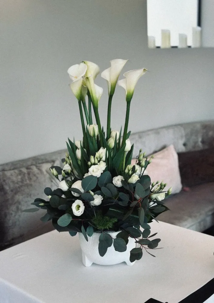 plantes-vertes-aux-fleurs-de-marie