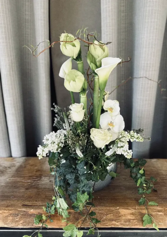 Plante d'intérieur à  Aix-en-Provence