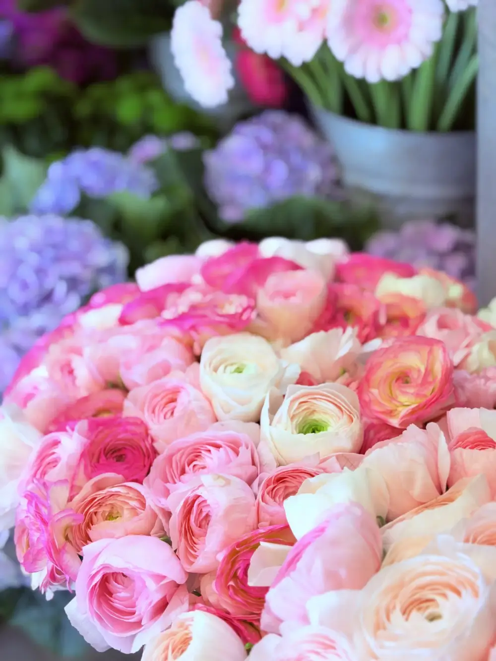 Livraison de fleurs à  Aix-en-Provence